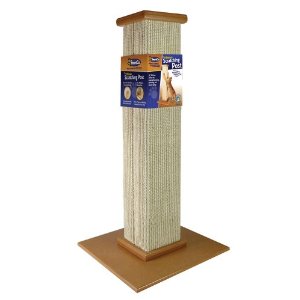 cat scratch post