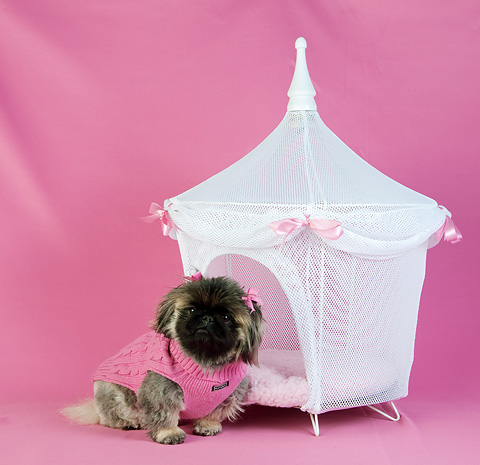 Pet Tent