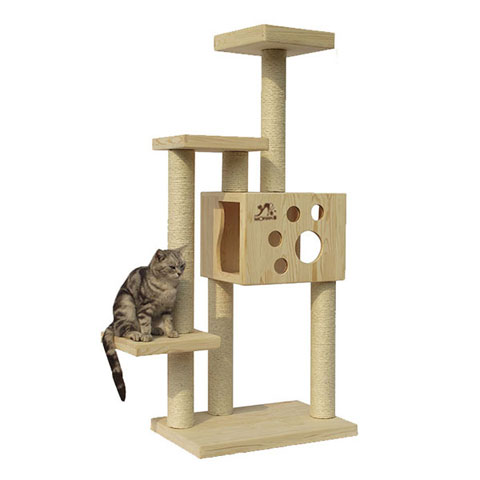 Cat climbing tree 1402